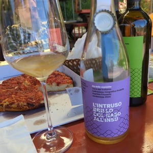 L’intruso Brillo Col Naso All’insu - Aia delle Monache - vittorio-michele-verzillo -2019