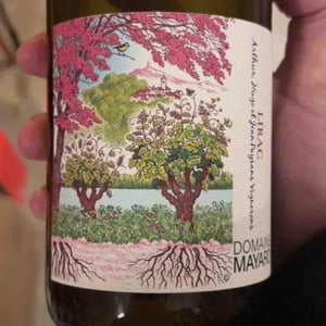 Lirac rouge - Domaine Mayard - arthur-et-hugo-mayard -2024