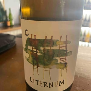 Liternum - Gaia Felix - Michele Lorenzetti -2020