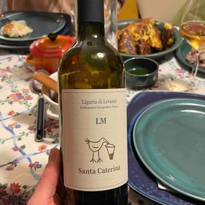 LM - Santa Caterina - Andrea Kihlgren 