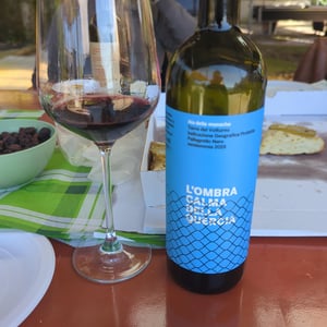 L'Ombra Calma della Quercia - Aia delle Monache - vittorio-michele-verzillo