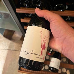 Long Courrier - Domaine Laura Aillaud - laura-aillaud