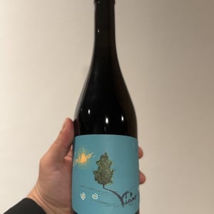 L'Ontano Vicino - Panevino - gianfranco-manca -2024