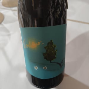 L'Ontano Vicino - Panevino - Gianfranco Manca -2024