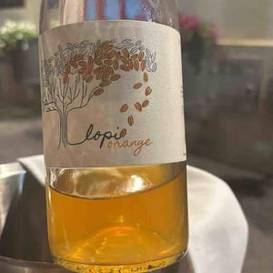 Lopi Orange - La Via del Colle - francesco-bandi