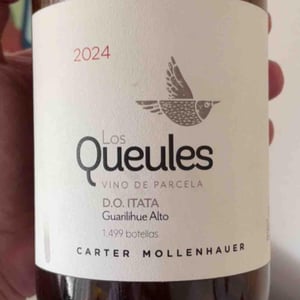 Los Queules - Carter Mollenhauer - edgard-carter-karine-mollenhauer -2024