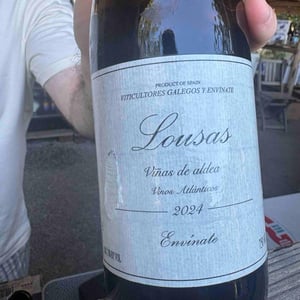 Lousas Viñas de Aldea - Envínate - roberto-santana-alfonso-torrente-laura-ramos-jose-martinez