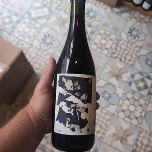 Louzdeh - Domaine Léonine - jordan-le-guyader-nj -2024