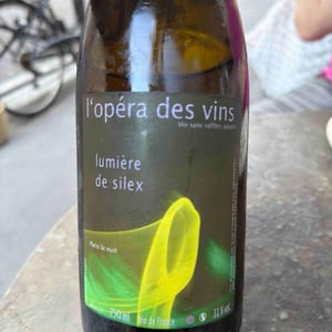 Lumière de Silex - Les Vignes de l'Angevin - Jean-Pierre Robinot