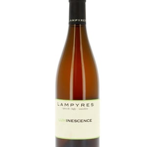 Luminescence - Domaine Lampyres - François-Xavier Dauré -2020