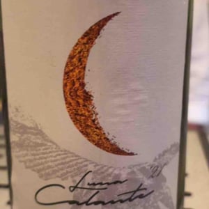 Luna Calante - Azienda Agricola Porta del Vento - Marco Sferlazzo 