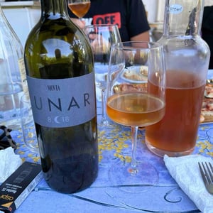 Lunar - Movia - ales-kristancic
