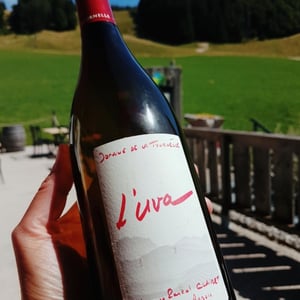L'Uva Rouge - Domaine de la Tournelle - evelyne-clairet