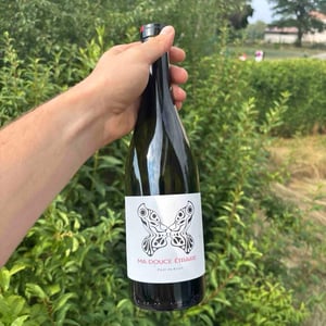 Douce Noire - Domaine Jeremy Bricka - Vins Naturels D'Alp'titude - Jeremy Bricka 