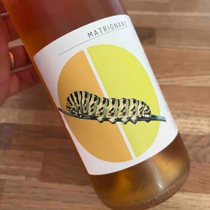 Macaone - Matrignano - Bianca, Giacomo, Gianna, Pierfrancesco -2022