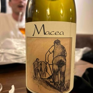Macea - Azienda Agricola Macea - Cipriano & Antonio Barsanti -2021