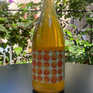 Macération - Domaine Laura Lardy - Laura Lardy -2024