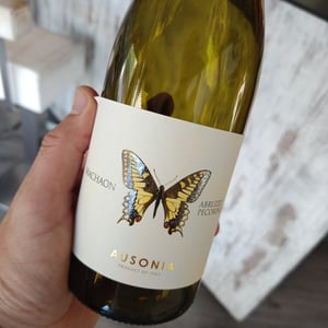 Machaon - Ausonia - Simone Binelli 