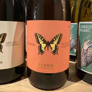 MACHAON PECORINO ANFORA - Ausonia - simone-binelli -2024