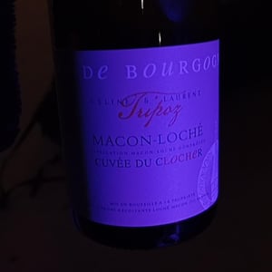 Mâcon - Domaine Mark Haisma - mark-haisma -2022