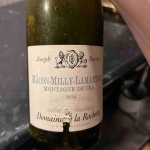 Mâcon-milly-lamartine - Domaine Héritiers du Comte Lafon - Famille Lafon -2020