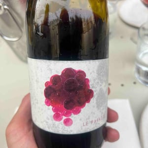 Magniacus Rouge - Domaine Régnier-David - jean-francois-regnier