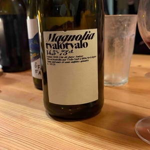 Magnolia - Gamay - Tyalo - Felipe Raupp & Yanis Carnal