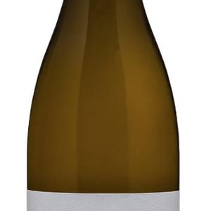 Mainbré blanc - Domaine du Pré Sémelé - Julien & Clément Raimbault -2022