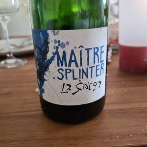 Maître Splinter Pet'nat - La Sorga - antony-tortul -2019