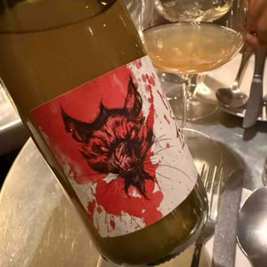 Maître Splinter - La Sorga - Antony Tortul