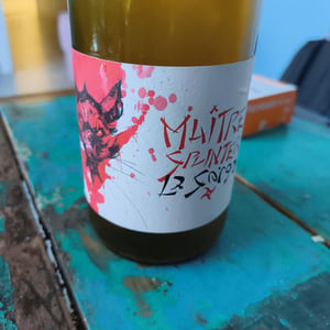 Maître Splinter - La Sorga - antony-tortul