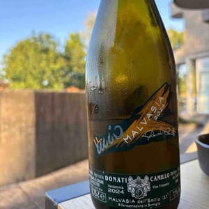 malvasia - Camillo Donati - Camillo Donati