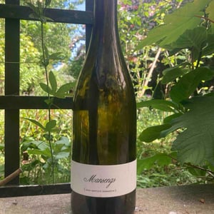 Mansengs - Domaine Lajibe - Jean-Baptiste Semmartin -2021