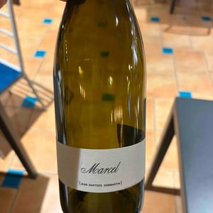 Marcel - Domaine Lajibe - jean-baptiste-semmartin -2023