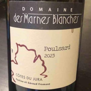 Marnes Blanches - Vin de Paille - Domaine Des Marnes Blanches - Pauline & Géraud Fromont -2019