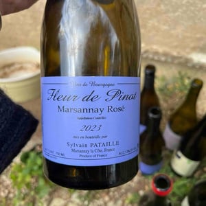 Marsannay "Fleur de Pinot" Rosé - Sylvain Pataille - Sylvain Pataille 