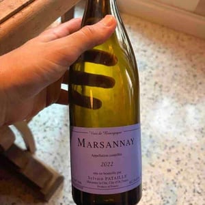 Marsannay - Sylvain Pataille - sylvain-pataille -2021
