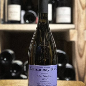 Marsannay Blanc "Le Chapitre" - Domaine Sylvain Pataille - Sylvain Pataille -2023