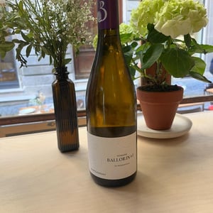 Marsannay - Domaine Ballorin - Gilles Ballorin -2019