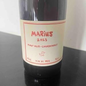 Marsiu - Chien Bleu - julien-manetti