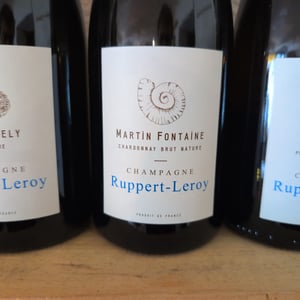 Martin Fontaine - Champagne Ruppert-Leroy - emmanuel-ruppert-benedicte-leroy