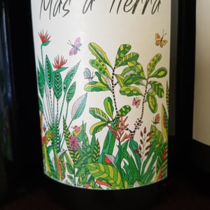 Mas a Tierra - Domaine de la Petite Empreinte - Mélissa Bazin & Romain De Moor -2022
