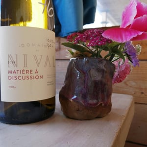 Matière à discussion - Domaine Du Nival - Denis & Mathieu Beauchemin 