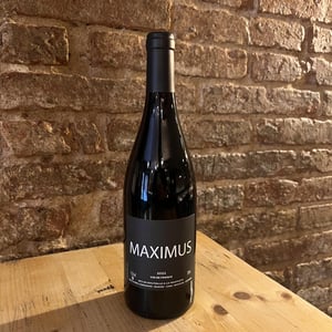 Maximus - Nicolas Carmarans - nicolas-carmarans