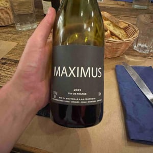 Maximus - Nicolas Carmarans - nicolas-carmarans