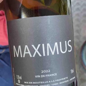 Nicolas Carmarans - Nicolas Carmarans - Maximus