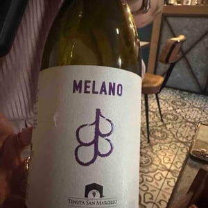 Melano - Tenuta San Marcello - Massimo Palmieri & Pascale Marquet 