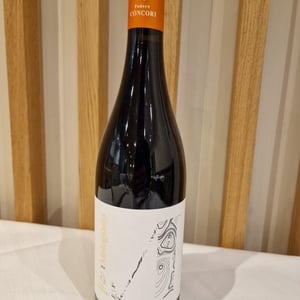 Melograno - Podere Còncori - gabriele-da-prato