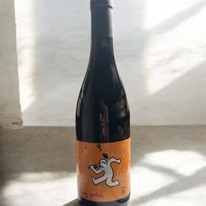 Melting Potes - Grégory Laurent - Grégory Laurent -2021