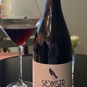 Merlot Zath - Sagmeister - Ernő Sagmeister -2022